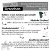 Outdoorchef Ersatzteil Zündbox 2 flammig für 570er Kugeln 2 Anschlüsse Art.Nr. 18.340.08 – Bild 5